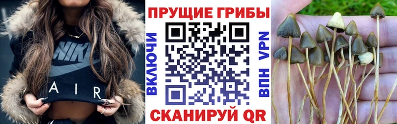 Галлюциногенные грибы Magic Shrooms  Владикавказ 