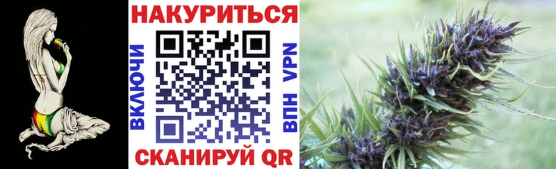 Бошки марихуана гибрид  ОМГ ОМГ маркетплейс  Владикавказ 